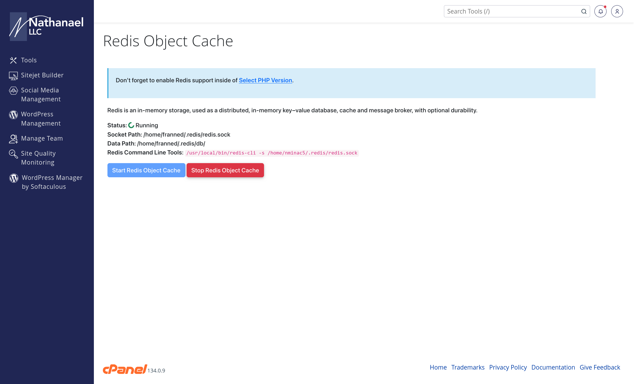 Redis object cache configuration panel in cPanel showing cache status and settings
