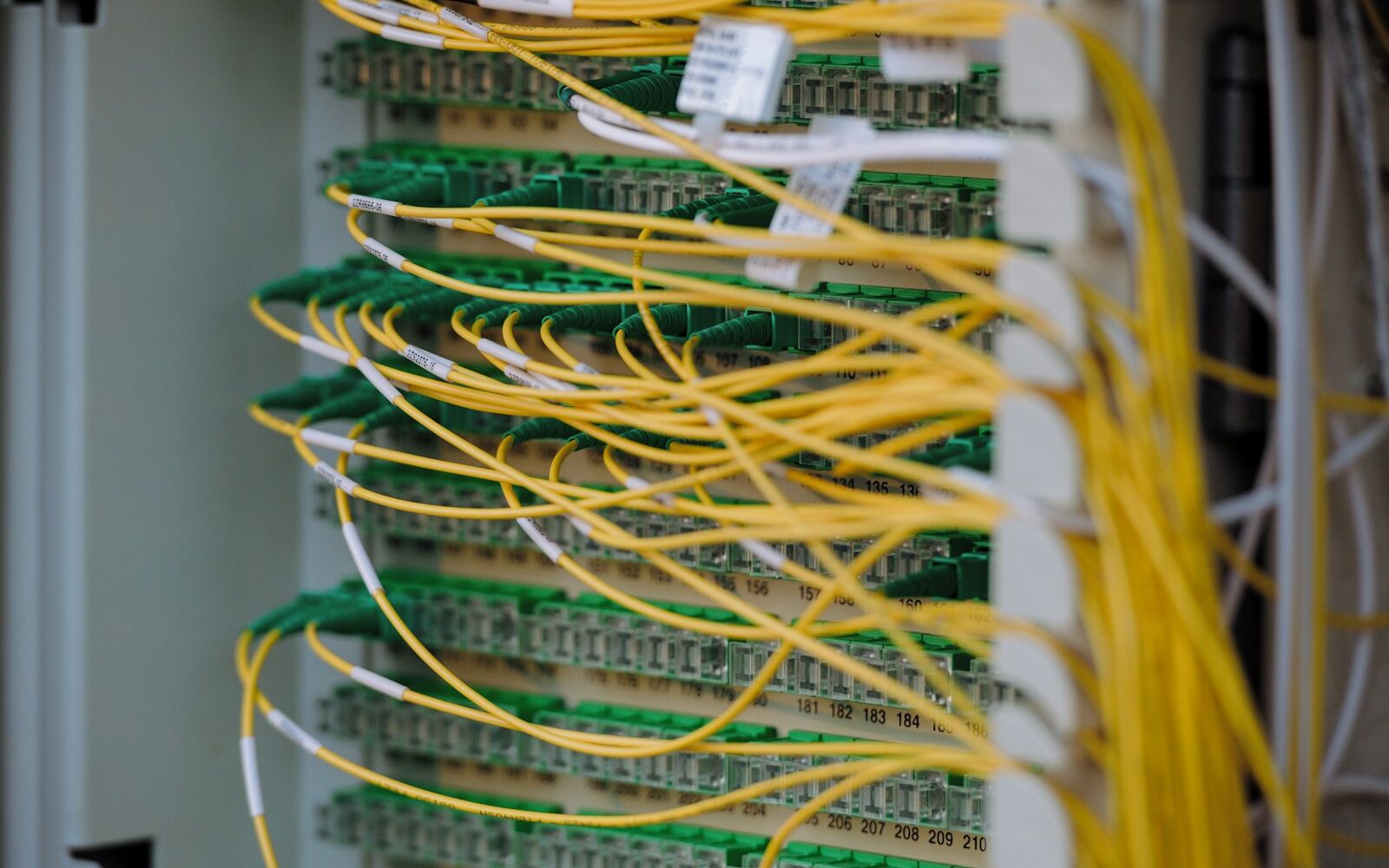 Yellow fiber patch cables connected to a fiber distribution panel