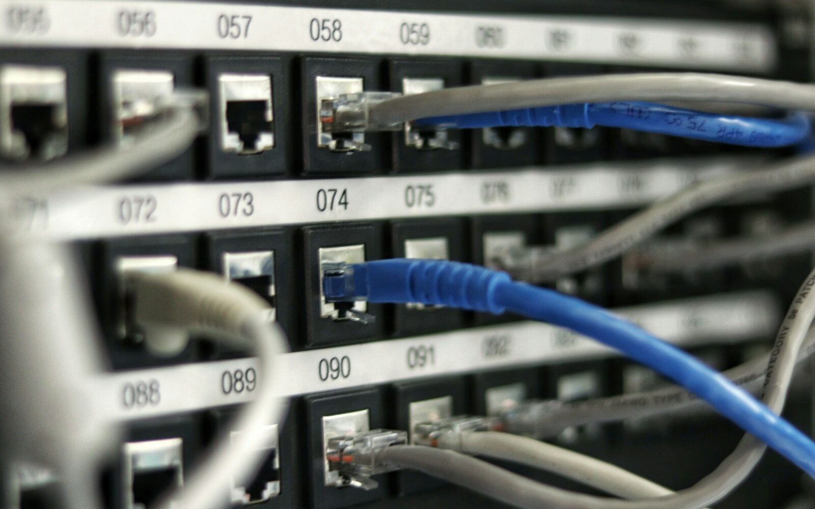 Numbered ports on a patch panel with network cables plugged in