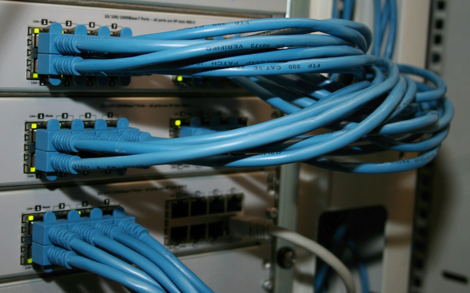 Bundled blue network cables connected to switches